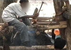 ภาพนี้จะเห็นชายคนหนึ่ง ฟันคมตะขอจมลึกลงในศรีษะลูกช้างพัง ก่อนแทงไม้แหลมลงในบาดแผล 