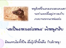 นิทานเรื่อง กับดักหนู