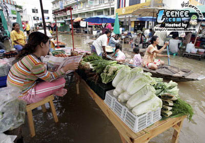 เหมือน ตลาดน้ำเลย......เนอะ........