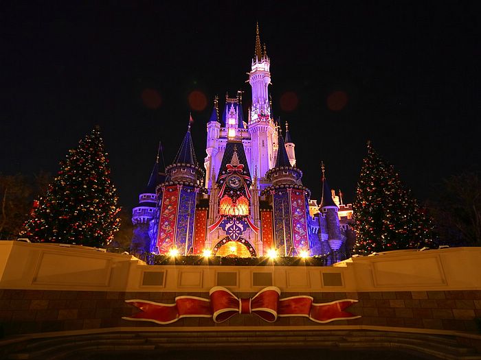 สีสัน...วันคริสต์มาส @ Tokyo Disneyland