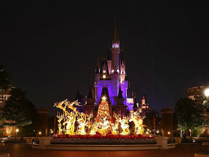 สีสัน...วันคริสต์มาส @ Tokyo Disneyland